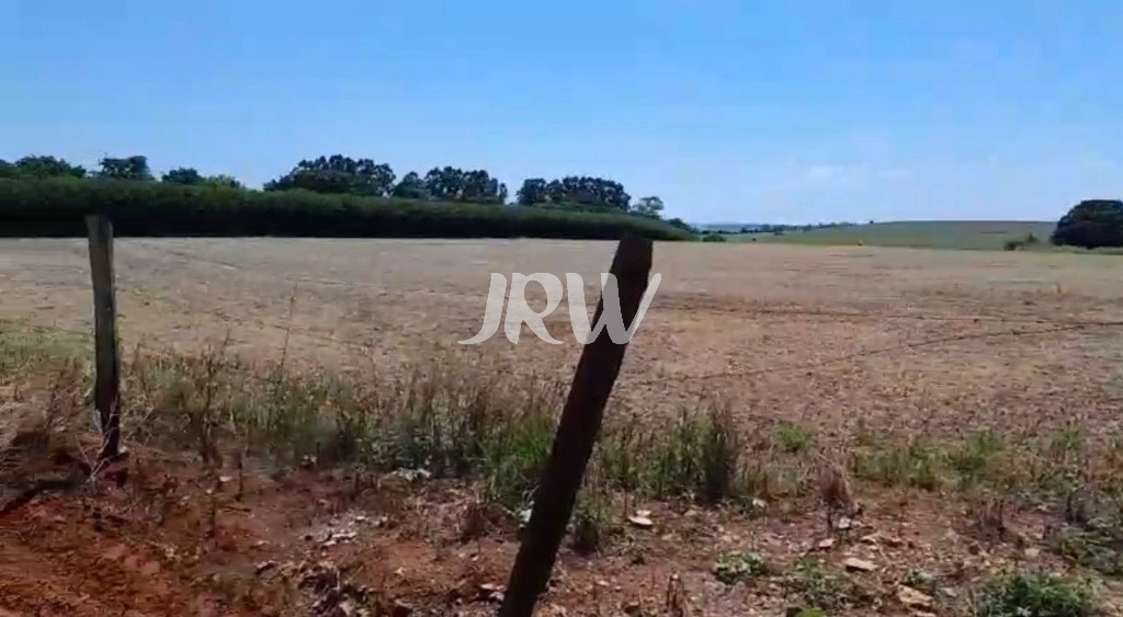 Sítio, 10 hectares - Foto 7