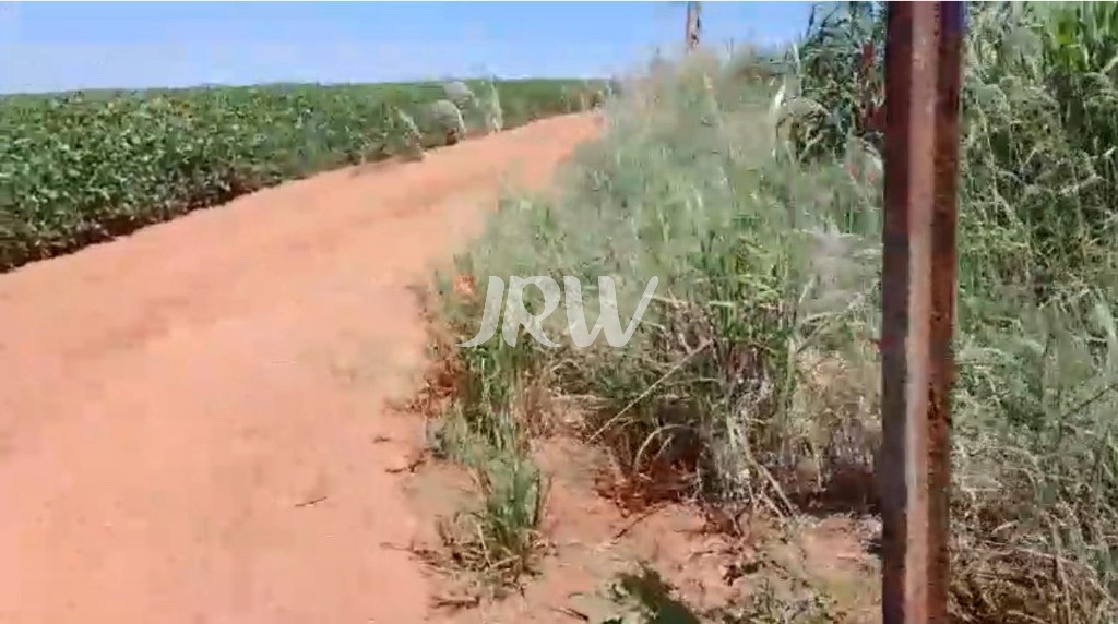 Sítio, 10 hectares - Foto 3