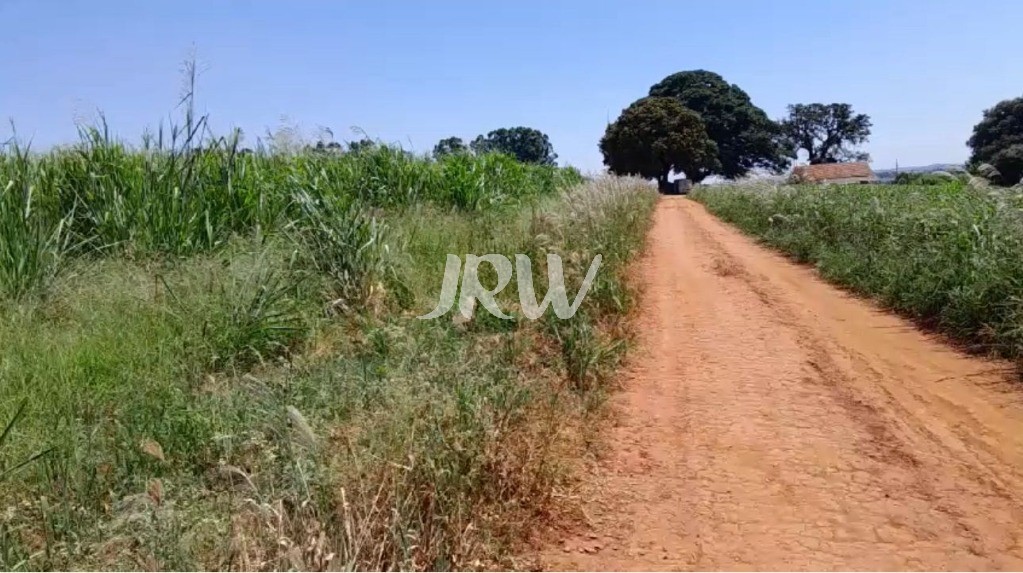 Sítio, 10 hectares - Foto 13