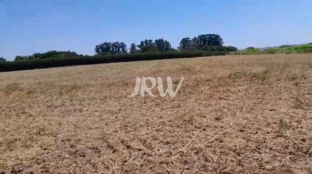 Sítio, 10 hectares - Foto 25