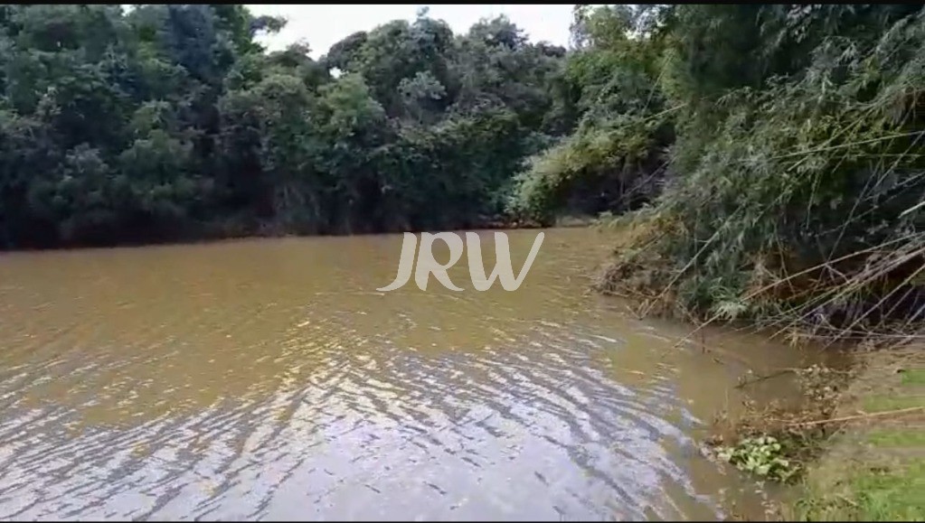 Sítio, 10 hectares - Foto 2