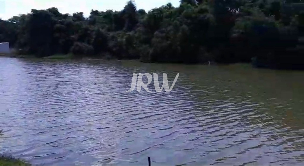 Sítio, 10 hectares - Foto 17