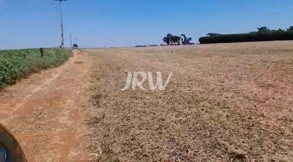 Sítio, 10 hectares - Foto 16