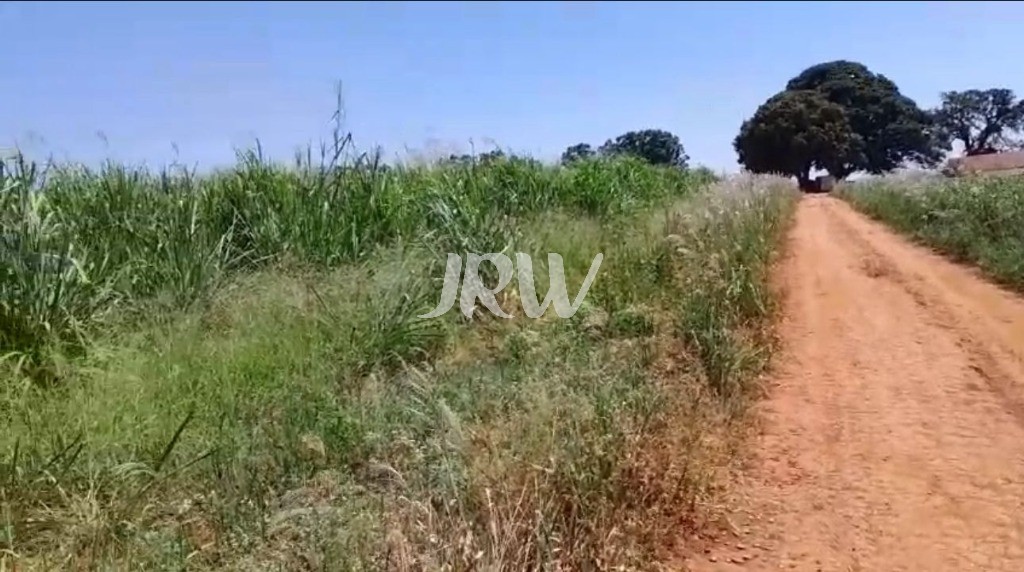 Sítio, 10 hectares - Foto 10