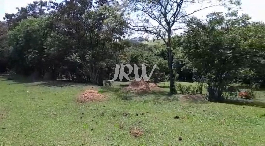 Sítio, 10 hectares - Foto 5