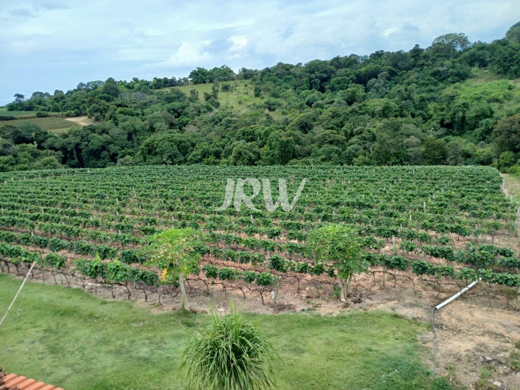 Chácara à venda com 3 quartos, 23000m² - Foto 14