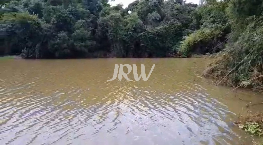 Sítio, 10 hectares - Foto 19