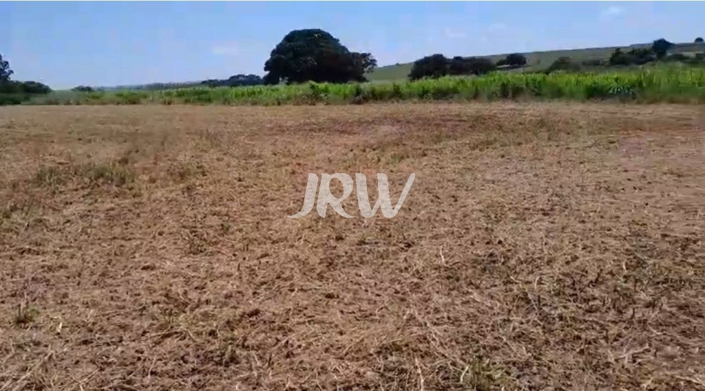 Sítio, 10 hectares - Foto 15