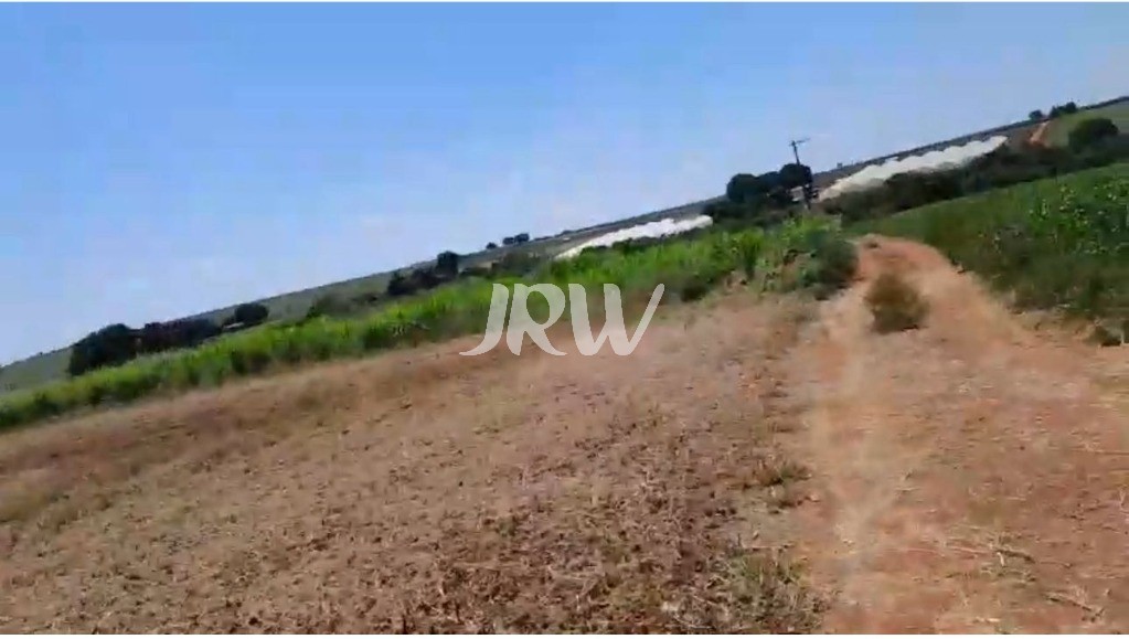 Sítio, 10 hectares - Foto 18