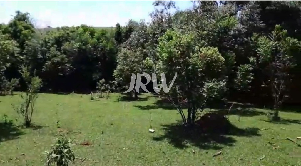 Sítio, 10 hectares - Foto 9