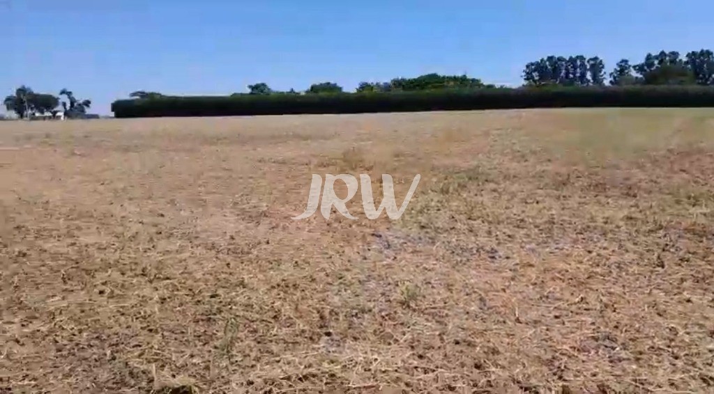 Sítio, 10 hectares - Foto 12