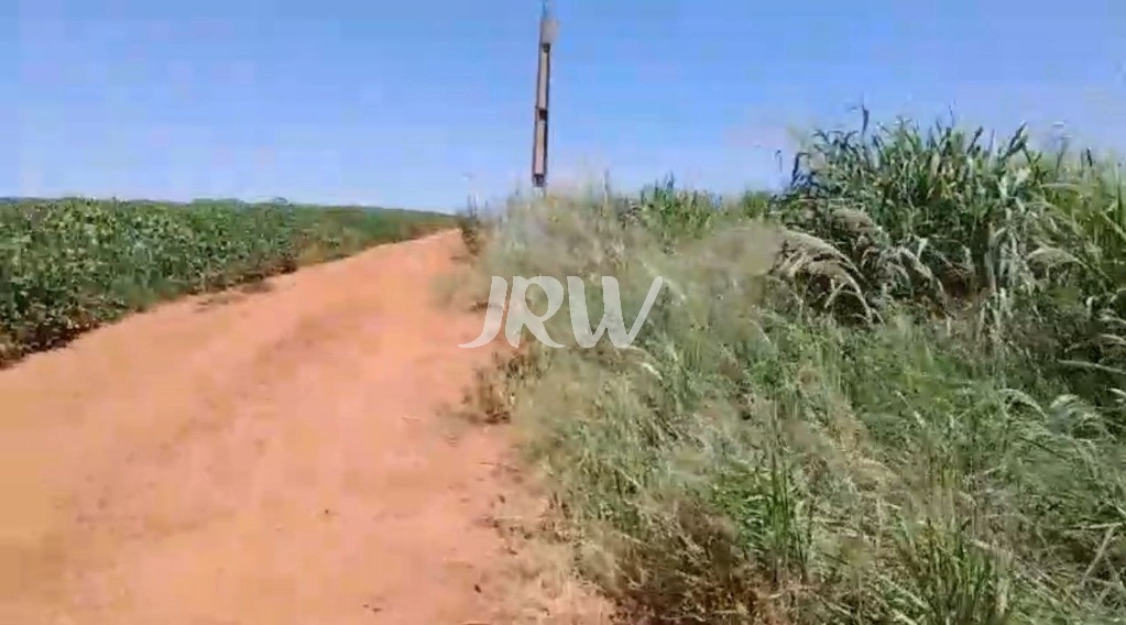 Sítio, 10 hectares - Foto 11