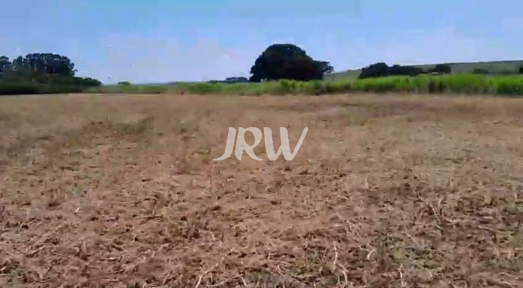 Sítio, 10 hectares - Foto 6