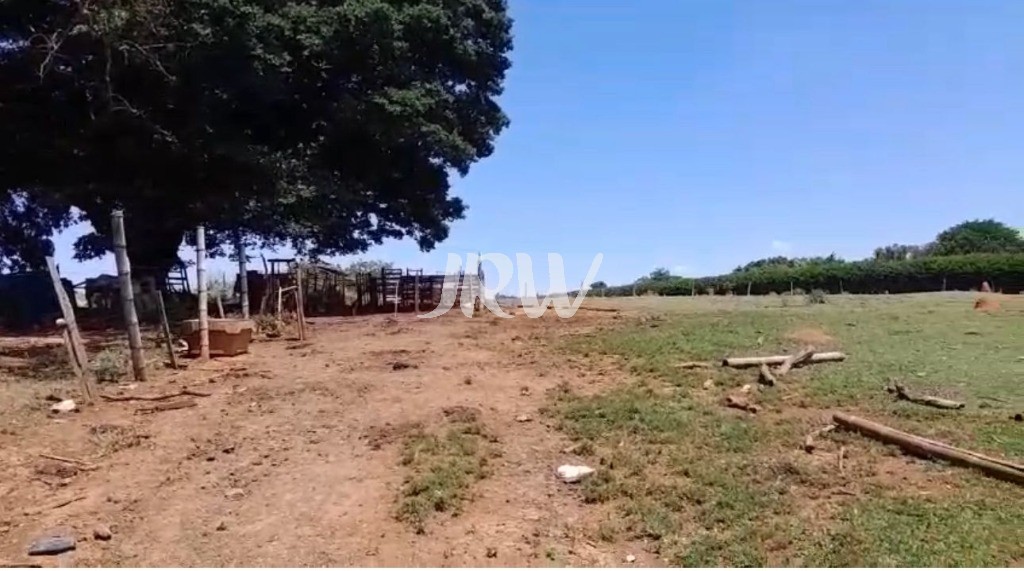 Sítio, 10 hectares - Foto 4