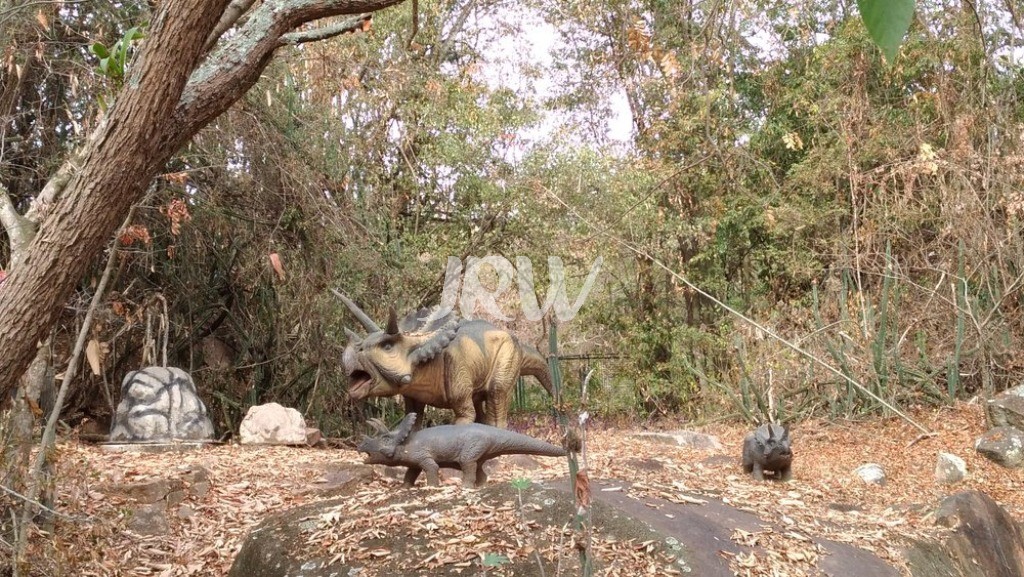 Casa de Condomínio, 3 quartos - Foto 20