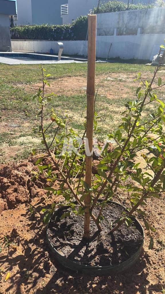 Casa de Condomínio, 4 quartos - Foto 33