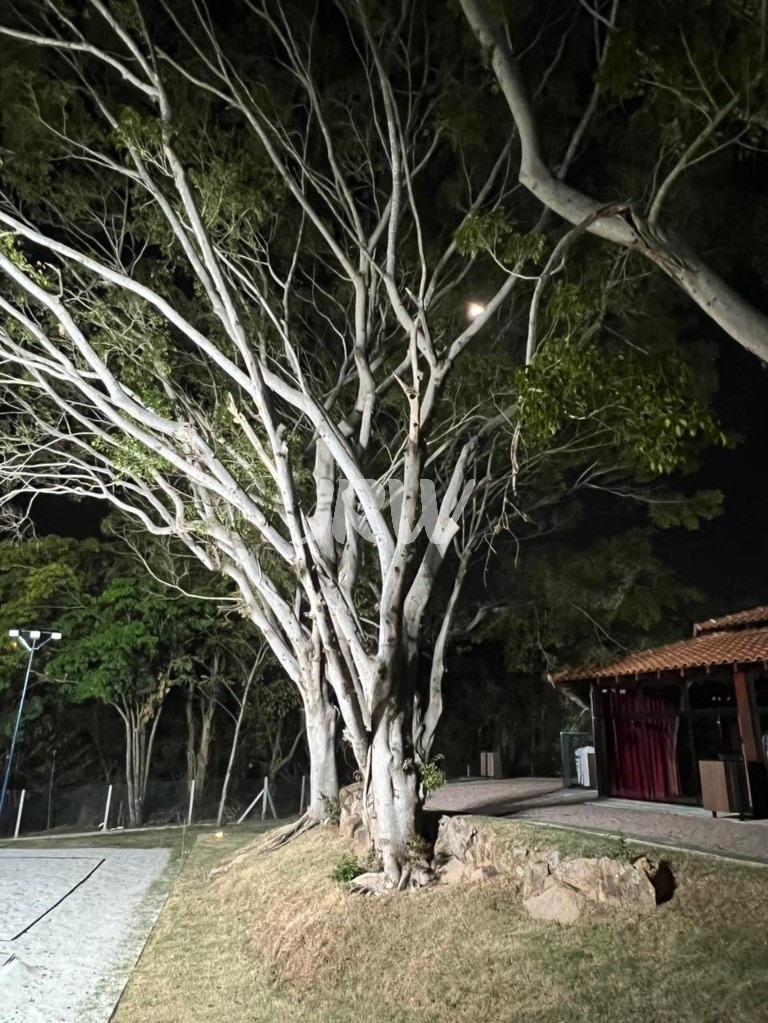 Terreno, 564 m² - Foto 6