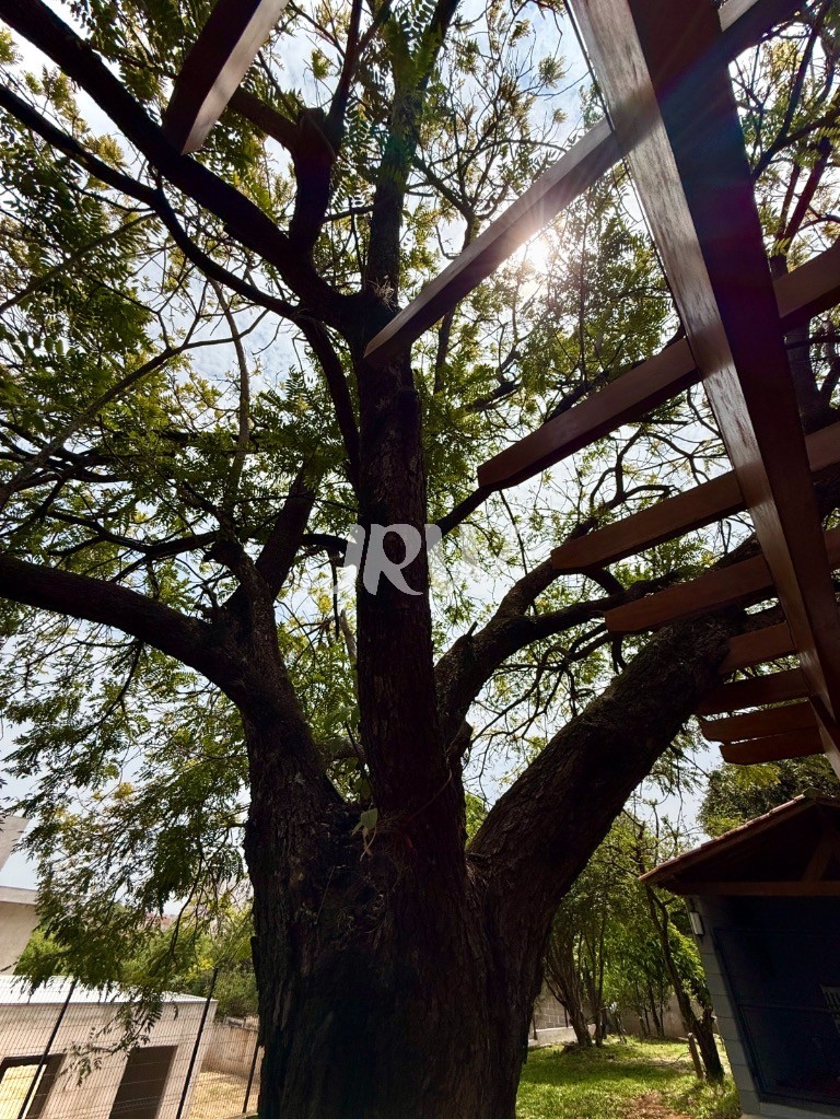 Chácara, 3 quartos, 5000 m² - Foto 35