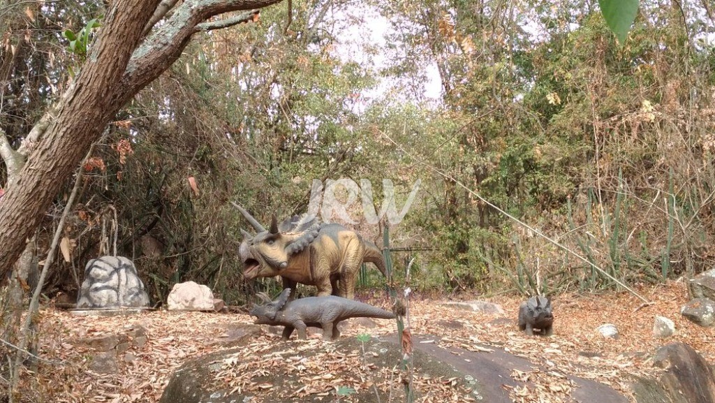 Terreno, 225 m² - Foto 9