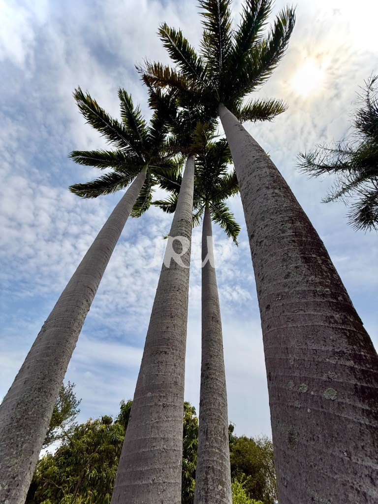 Chácara, 3 quartos, 5000 m² - Foto 45