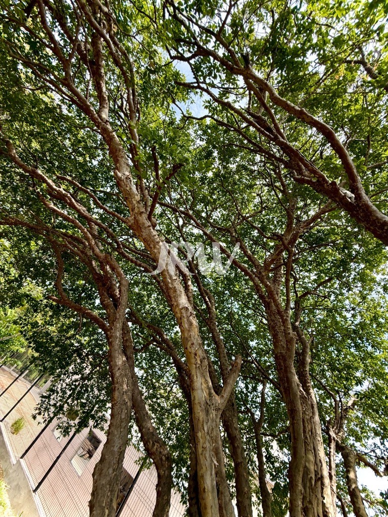 Chácara, 3 quartos, 5000 m² - Foto 39