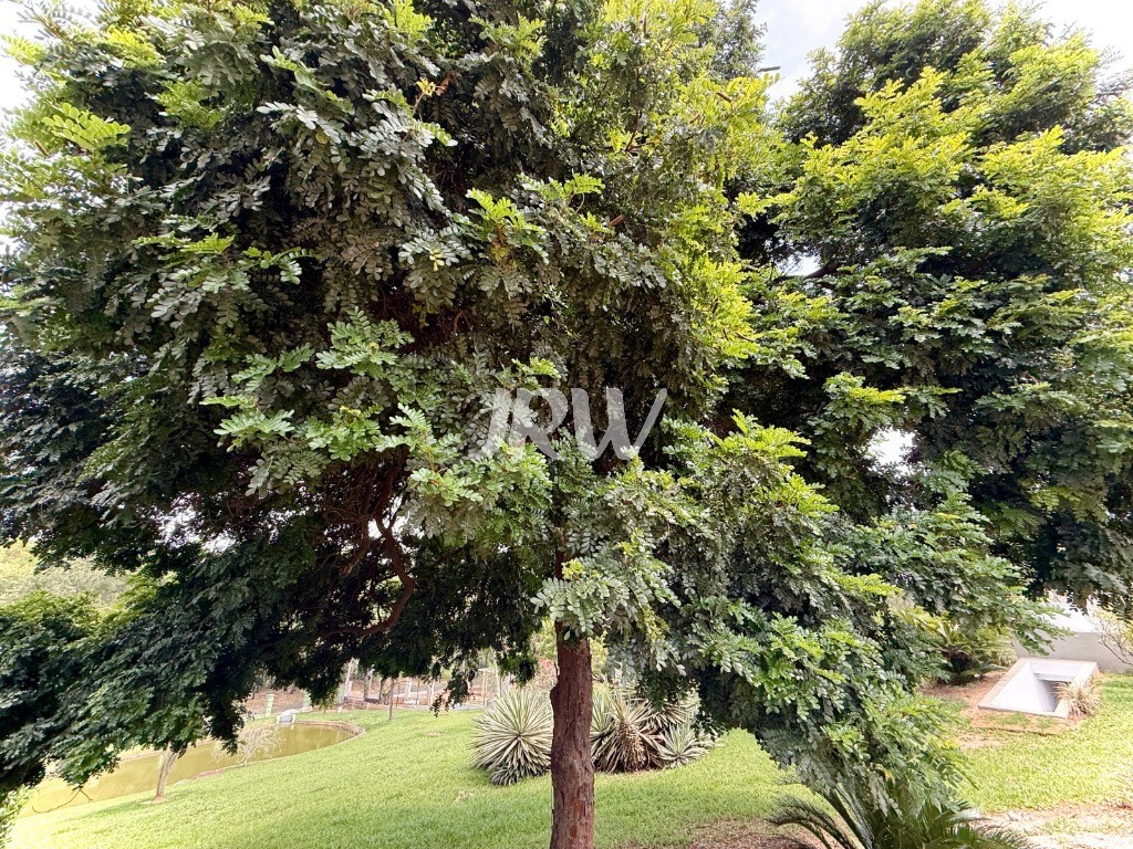 Chácara, 3 quartos, 5000 m² - Foto 42