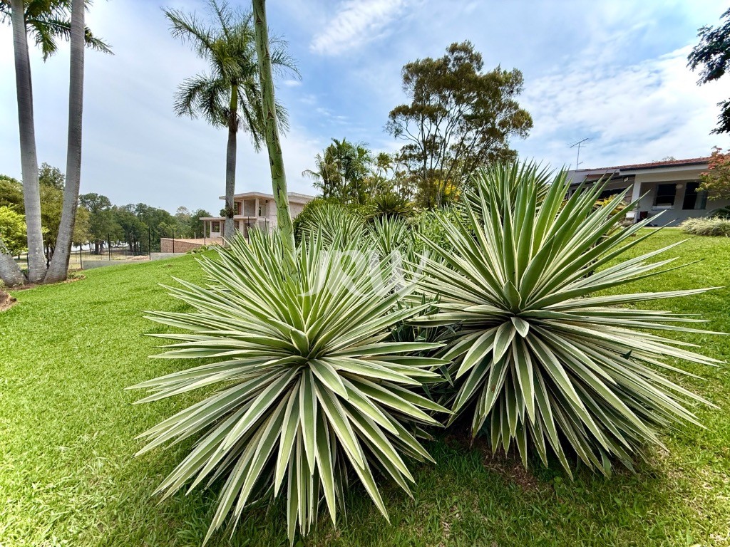 Chácara, 3 quartos, 5000 m² - Foto 41