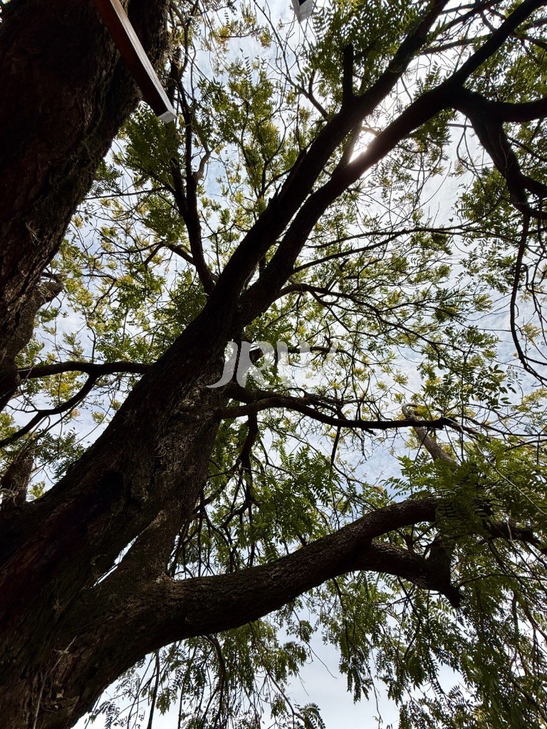 Chácara, 3 quartos, 5000 m² - Foto 38