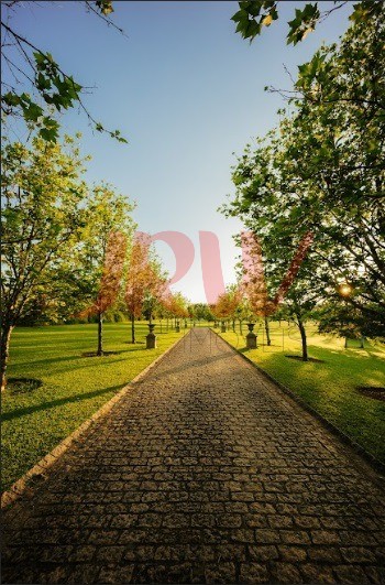 Terreno, 598 m² - Foto 9