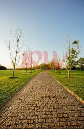 Terreno, 598 m² - Foto 10