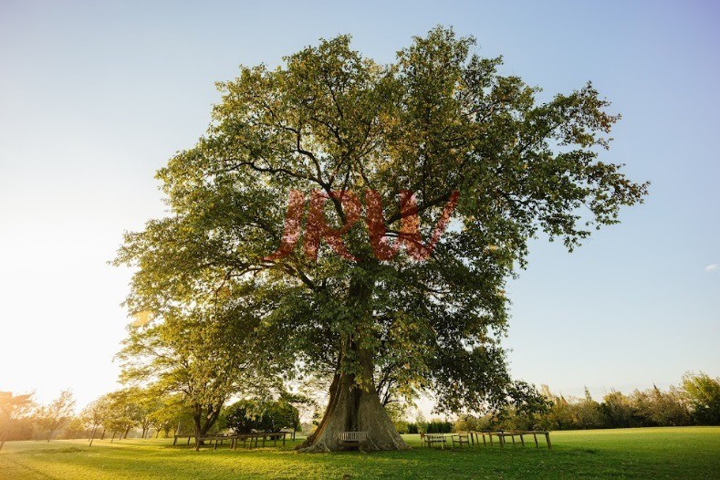 Terreno, 598 m² - Foto 12