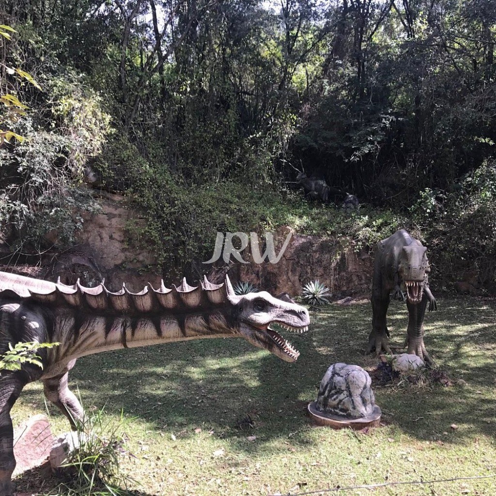 Terreno, 323 m² - Foto 8