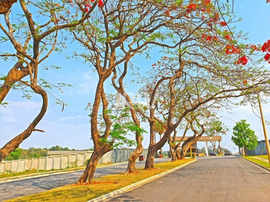 Casa de Condomínio, 3 quartos - Foto 30