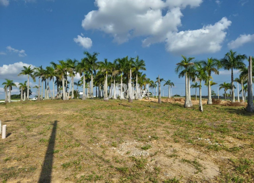 Terreno, 250 m² - Foto 4