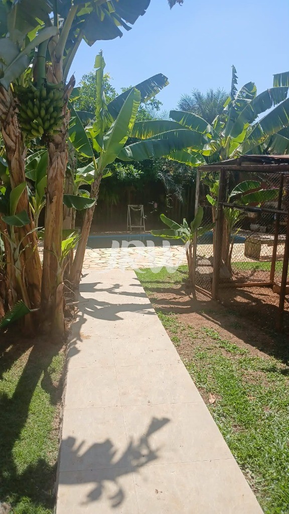 Chácara, 3 quartos, 1000 m² - Foto 4