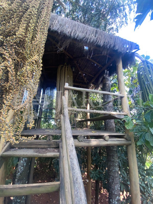 Chácara, 3 quartos, 1000 m² - Foto 33