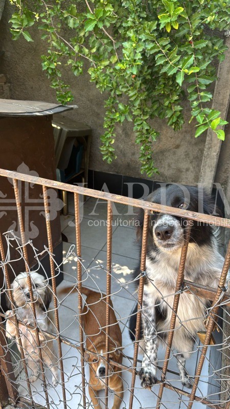 Casa, 3 quartos - Foto 16