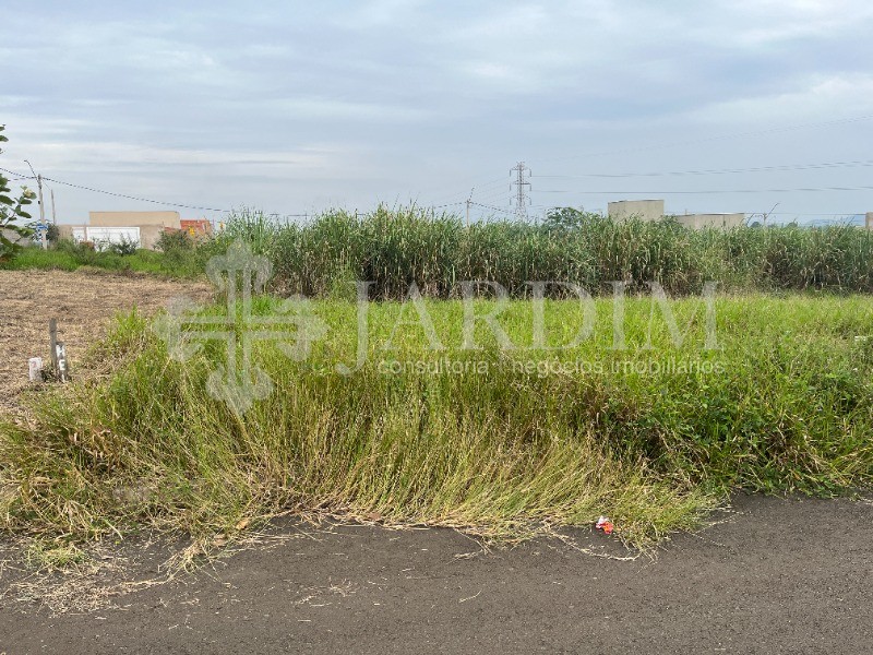 Loteamento e Condomínio - Foto 2