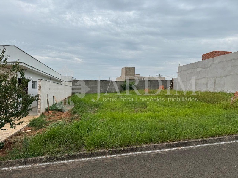 Terreno, 250 m² - Foto 3