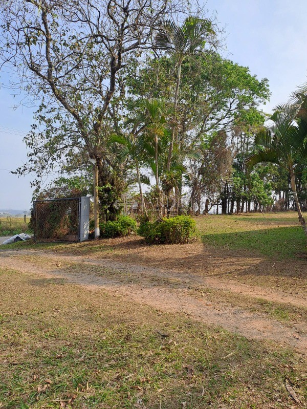 Fazenda, 77 hectares - Foto 17