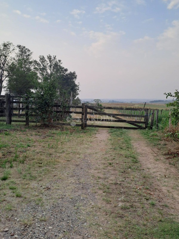 Fazenda, 77 hectares - Foto 2