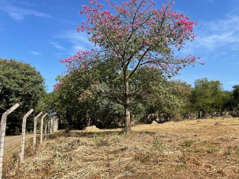 Terreno, 2048 m² - Foto 10