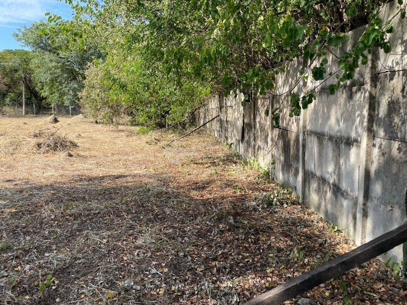 Terreno, 2048 m² - Foto 7