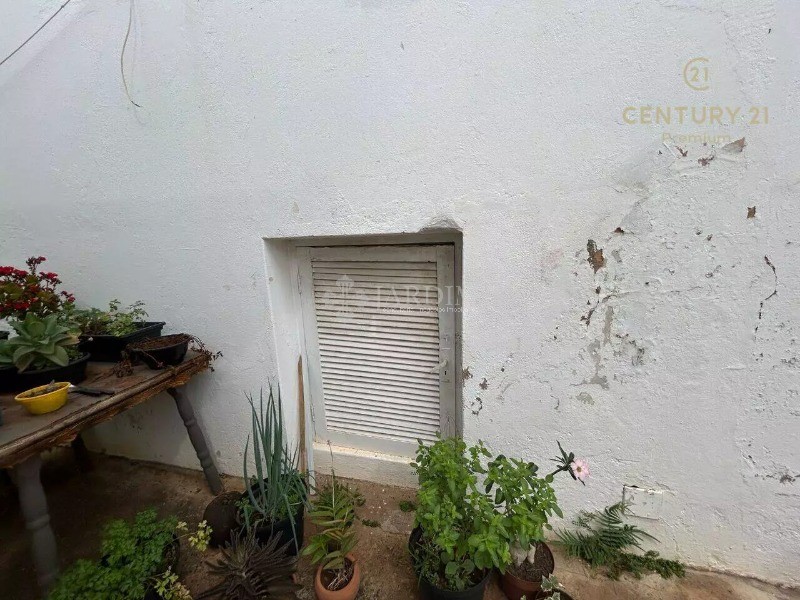 Casa, 3 quartos - Foto 14