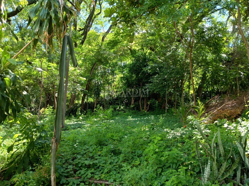 Terreno, 390 m² - Foto 30