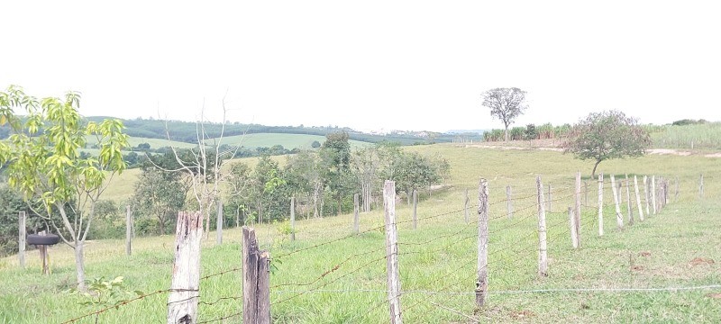 Terreno, 1548 m² - Foto 3