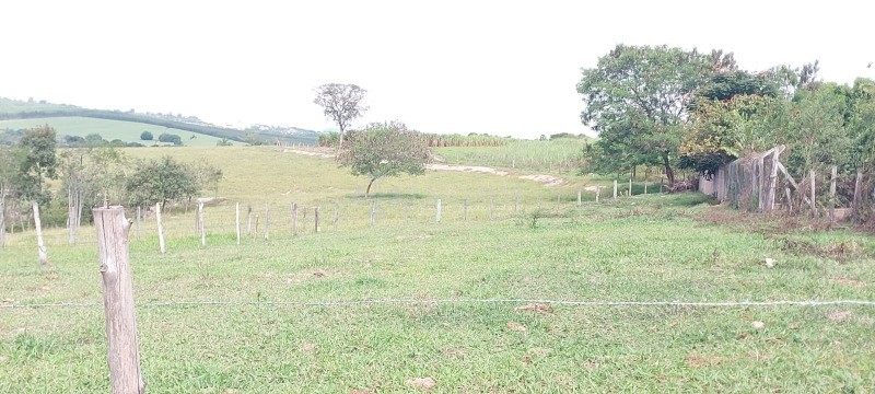 Terreno, 1548 m² - Foto 5