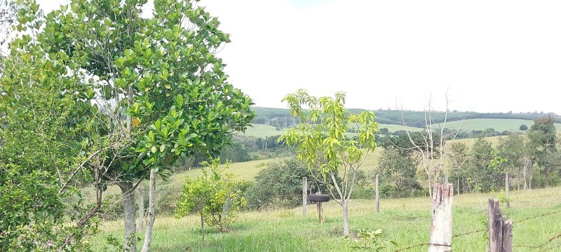 Terreno, 1548 m² - Foto 7