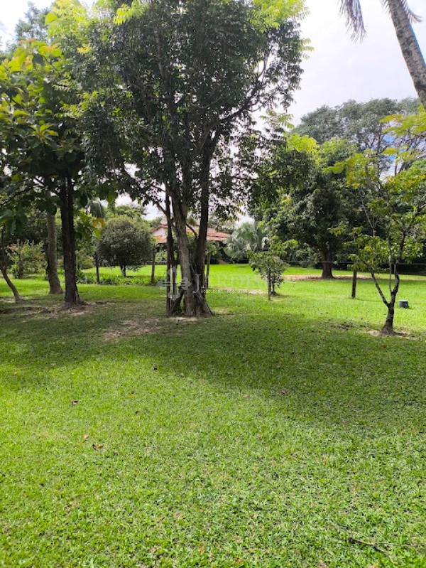 Sítio, 3 quartos, 5000 m² - Foto 5