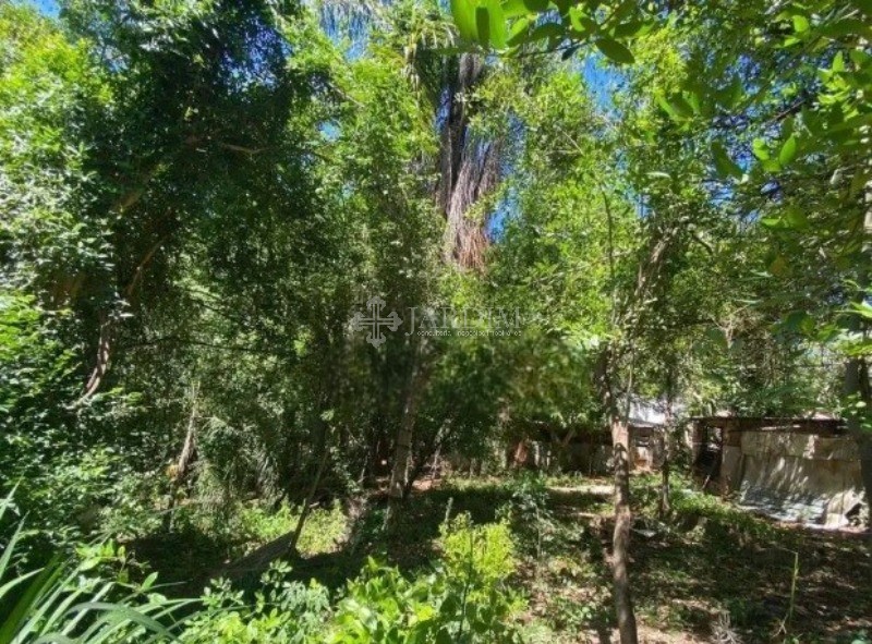 Chácara, 3 quartos, 1 hectares - Foto 10